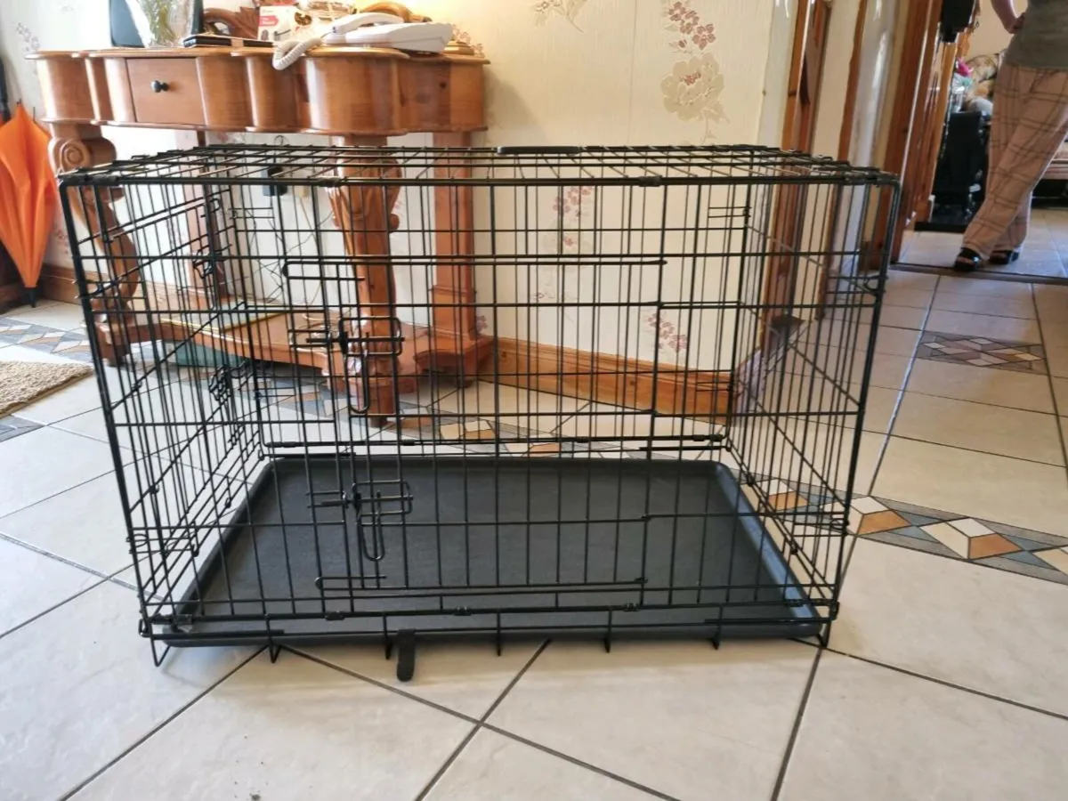 Dog create - Image 2
