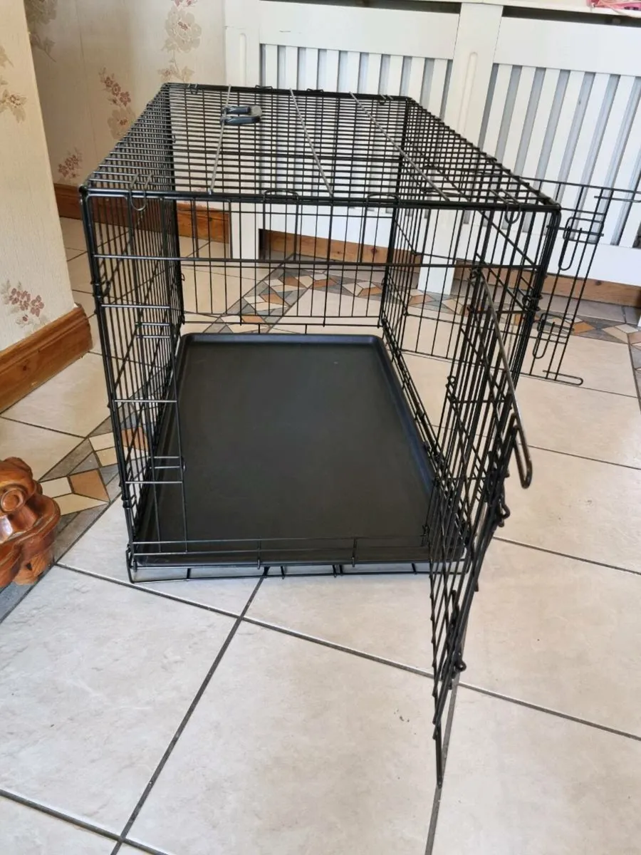 Dog create - Image 4