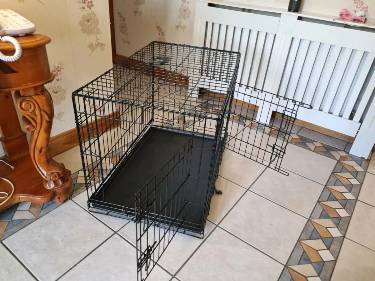 Dog create - Image 1