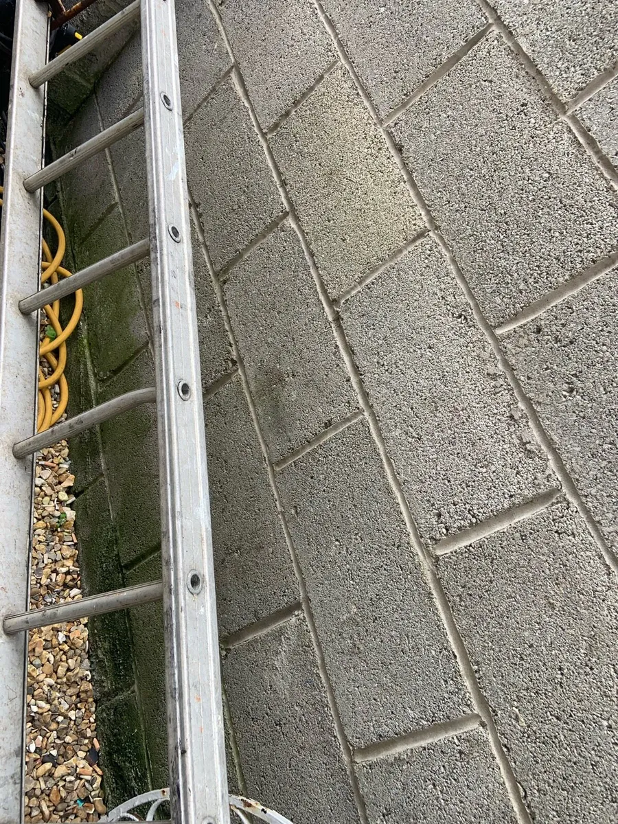 Ladder - Image 1