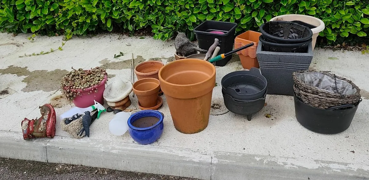 Garden Planters etc. - Image 4