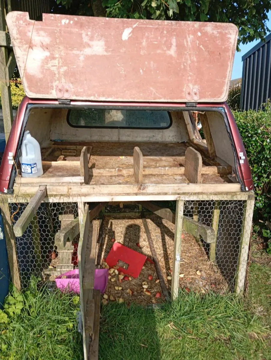 Animal house - Image 1