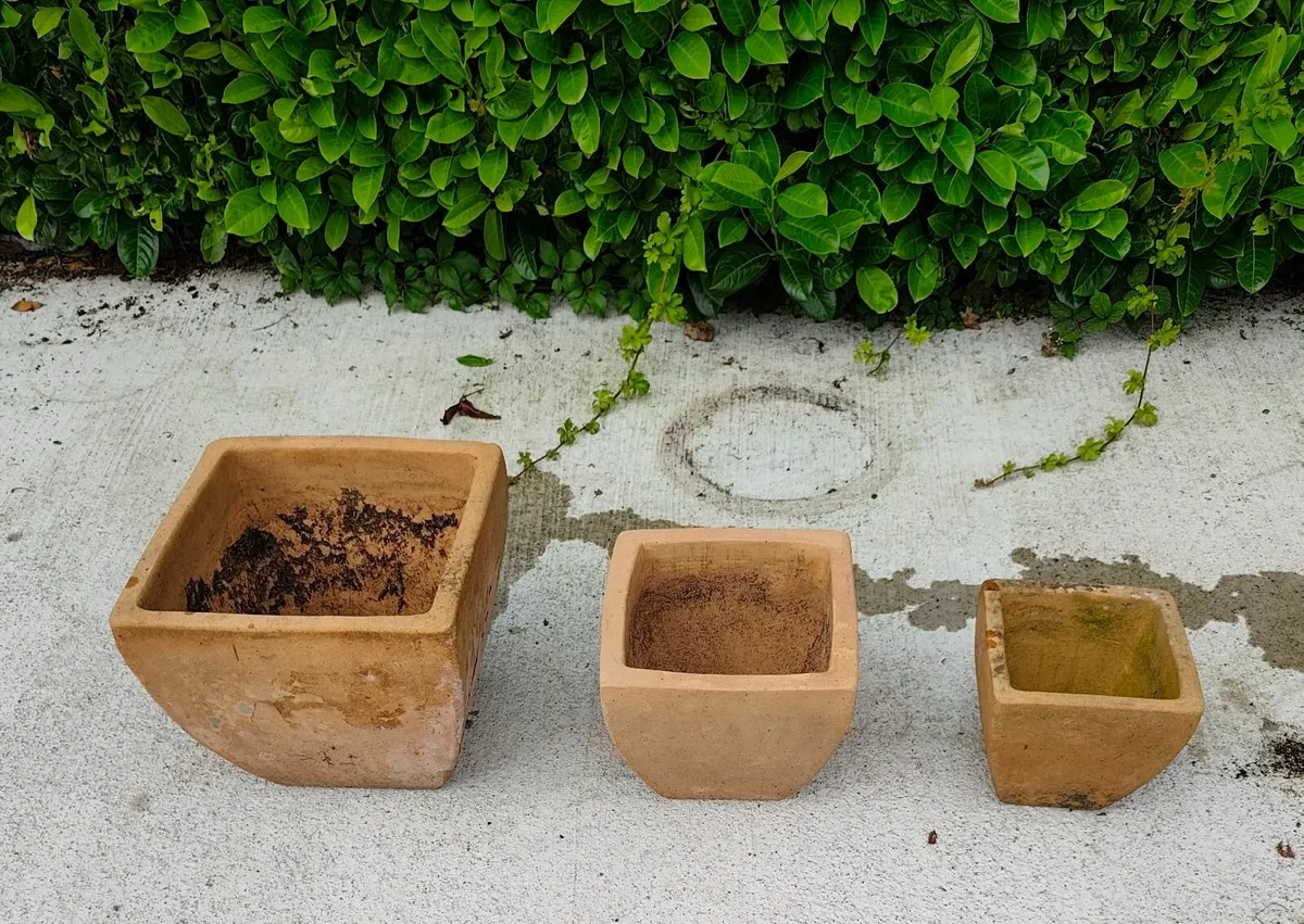 Garden Planters etc. - Image 2