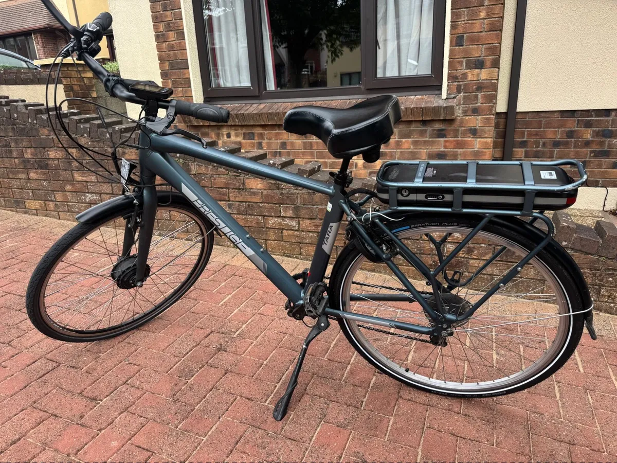 Electric Bike - Image 1