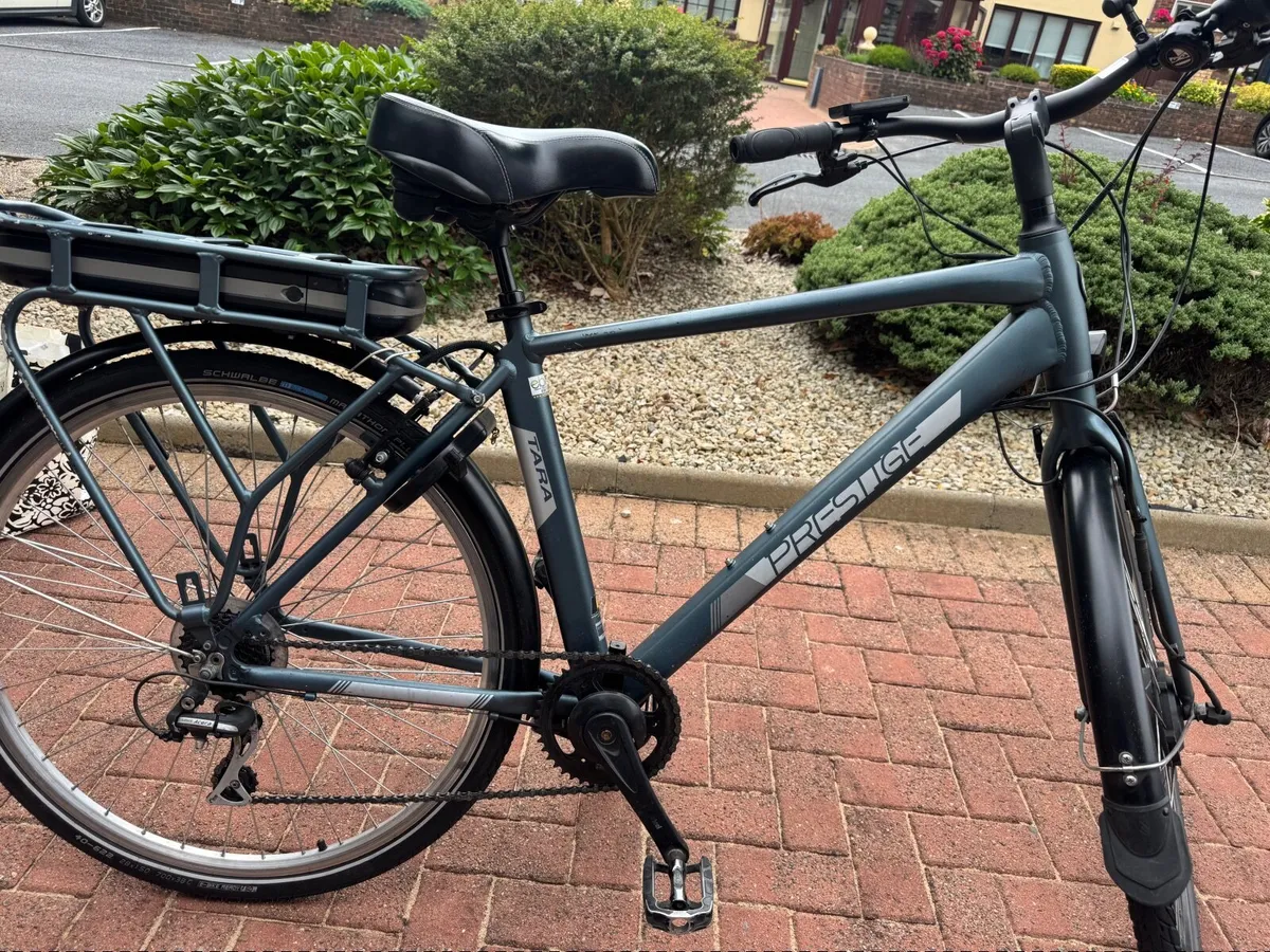 Electric Bike - Image 2