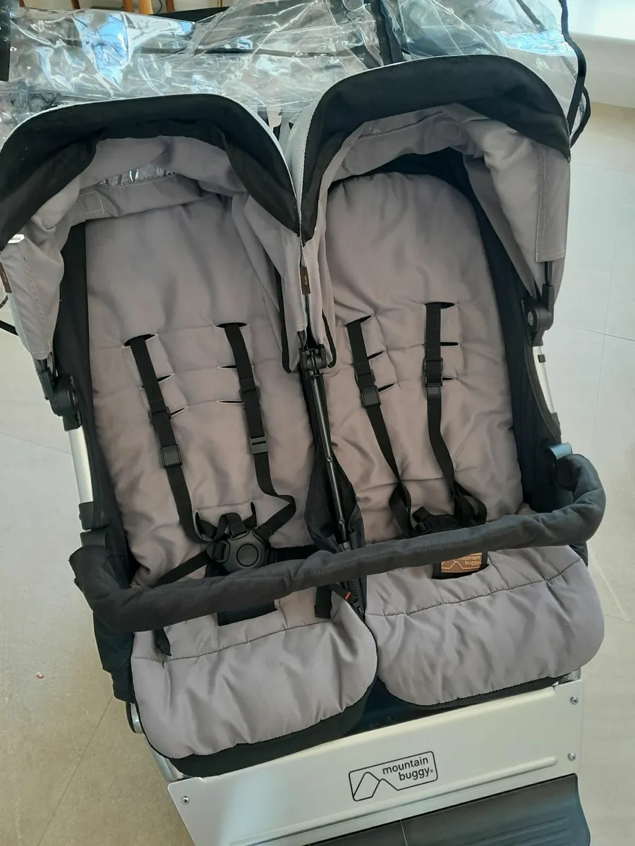 Buggy - Image 1