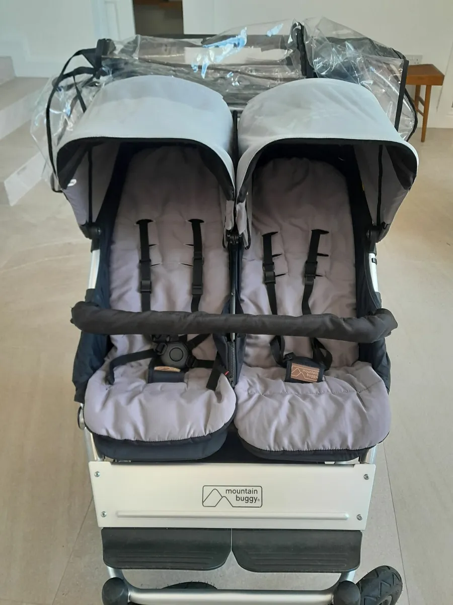 Buggy - Image 4