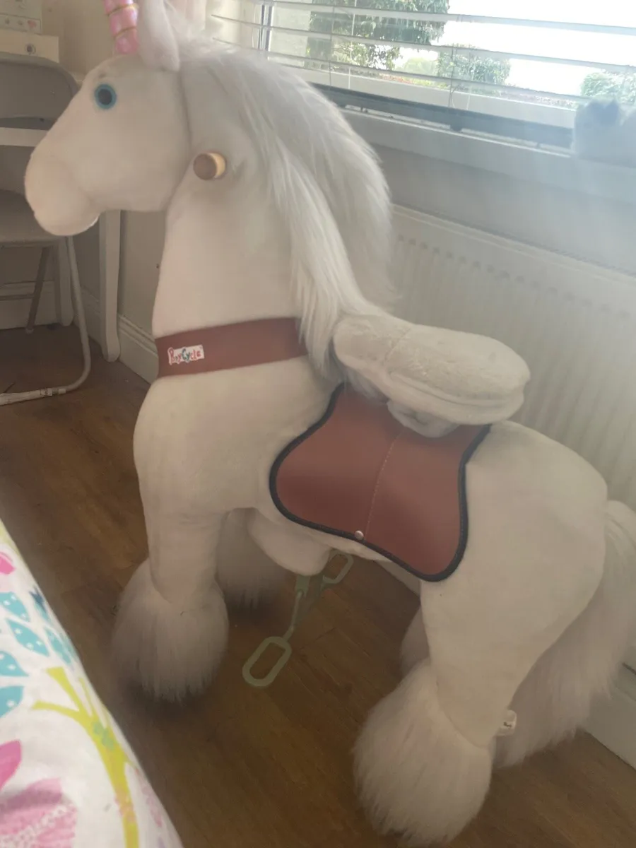 Pony cycle