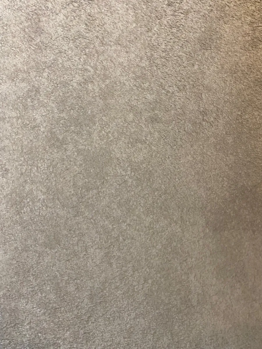 Rug - Image 2