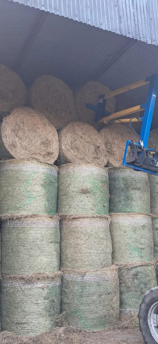 Hay - Image 1