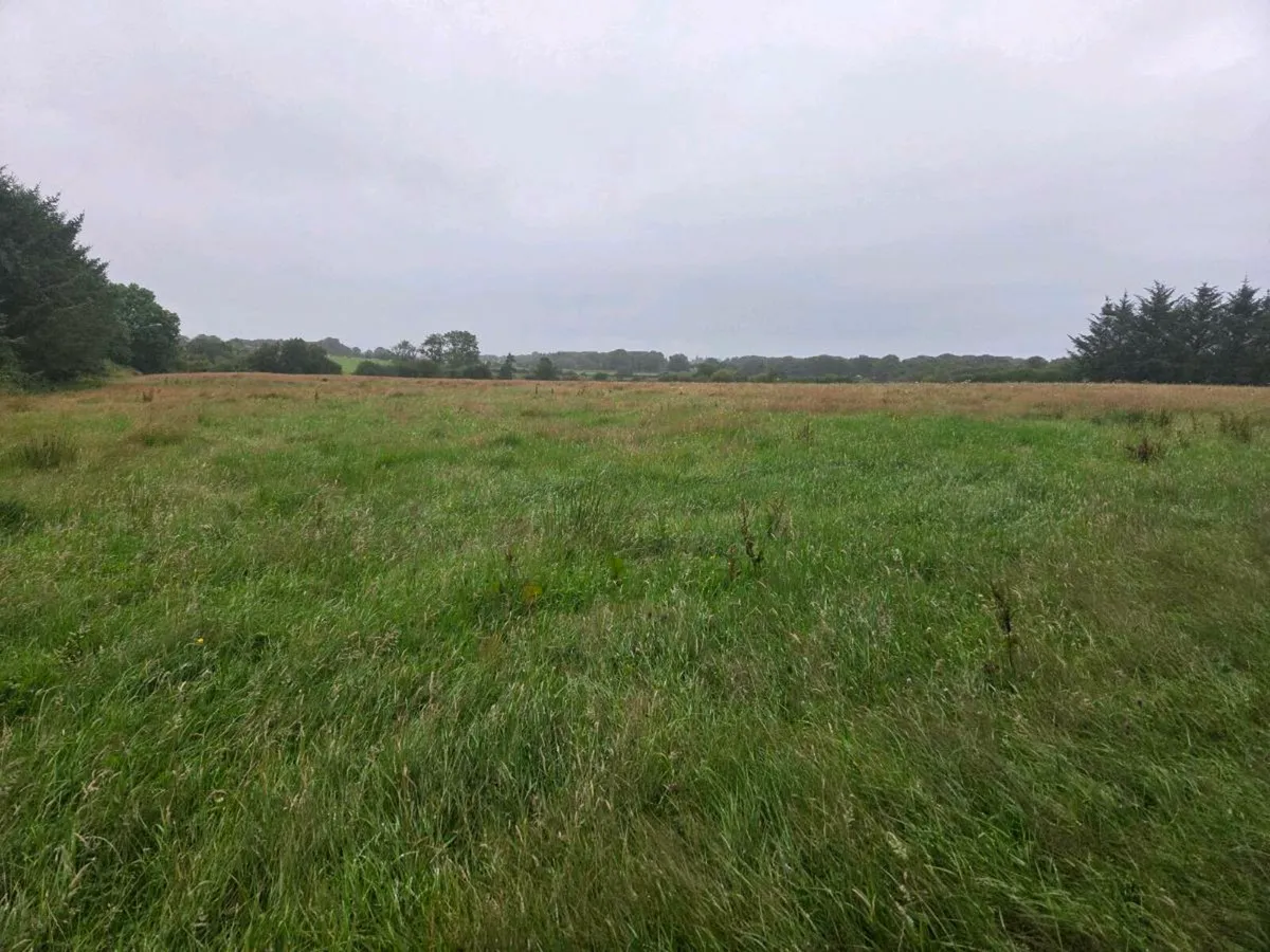 Meadow - Image 3