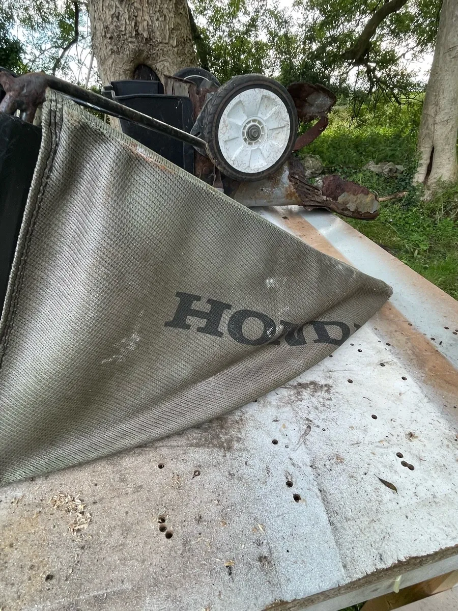 Lawnmower engine - Image 4