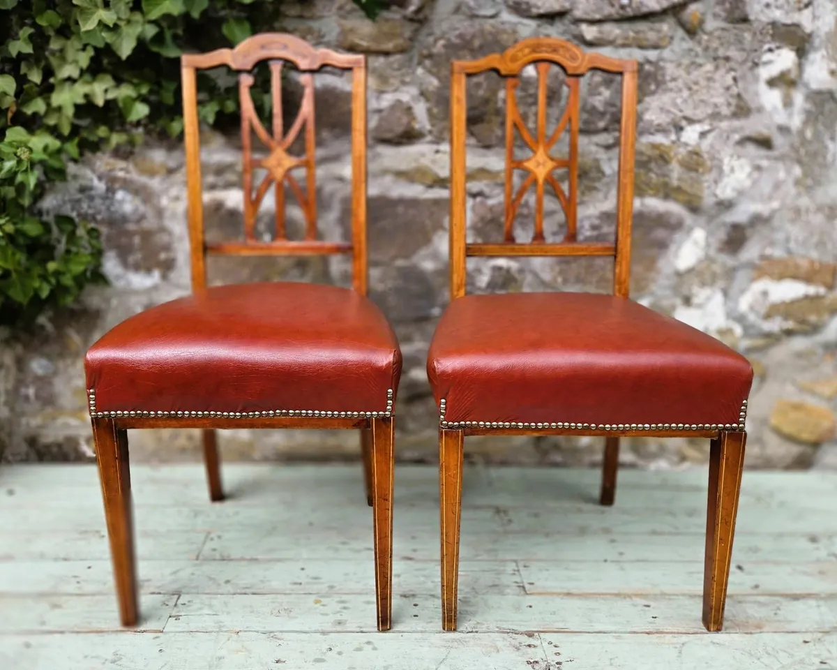 Edwardian Walnut Chairs- Circa 1910 - Image 1