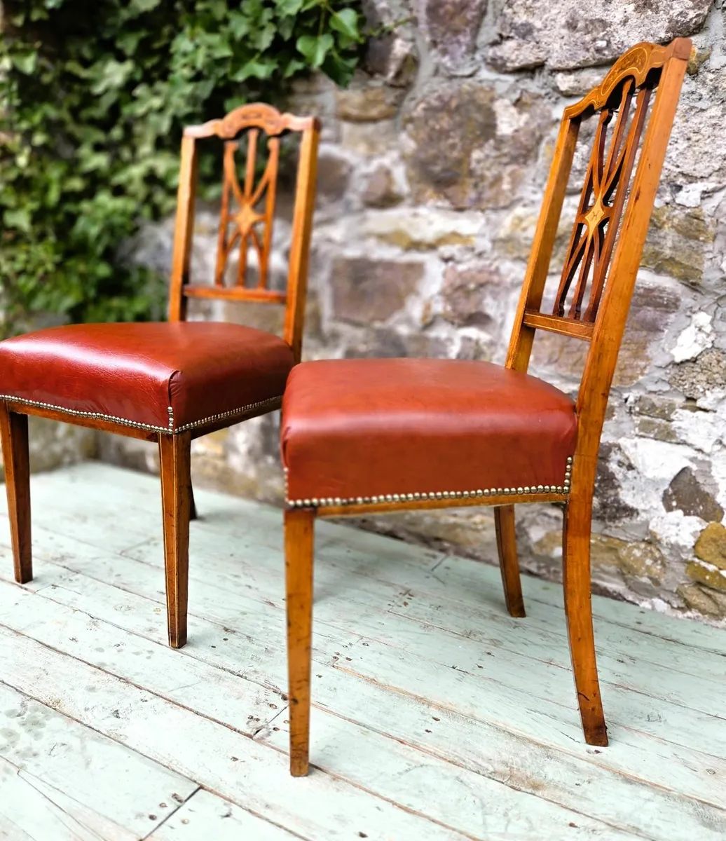 Edwardian Walnut Chairs- Circa 1910 - Image 3