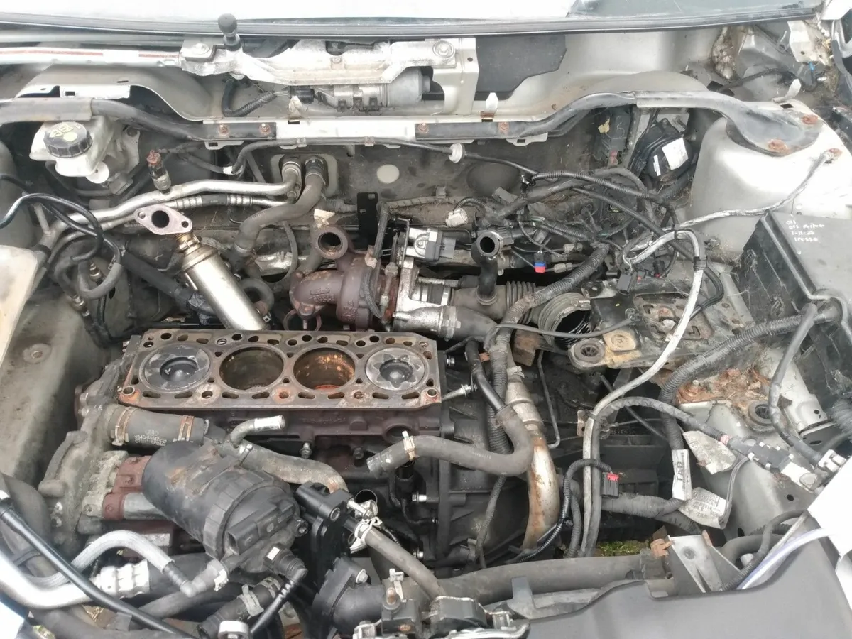 Ford Focus 2010 - needs new Timing Belt - Image 3