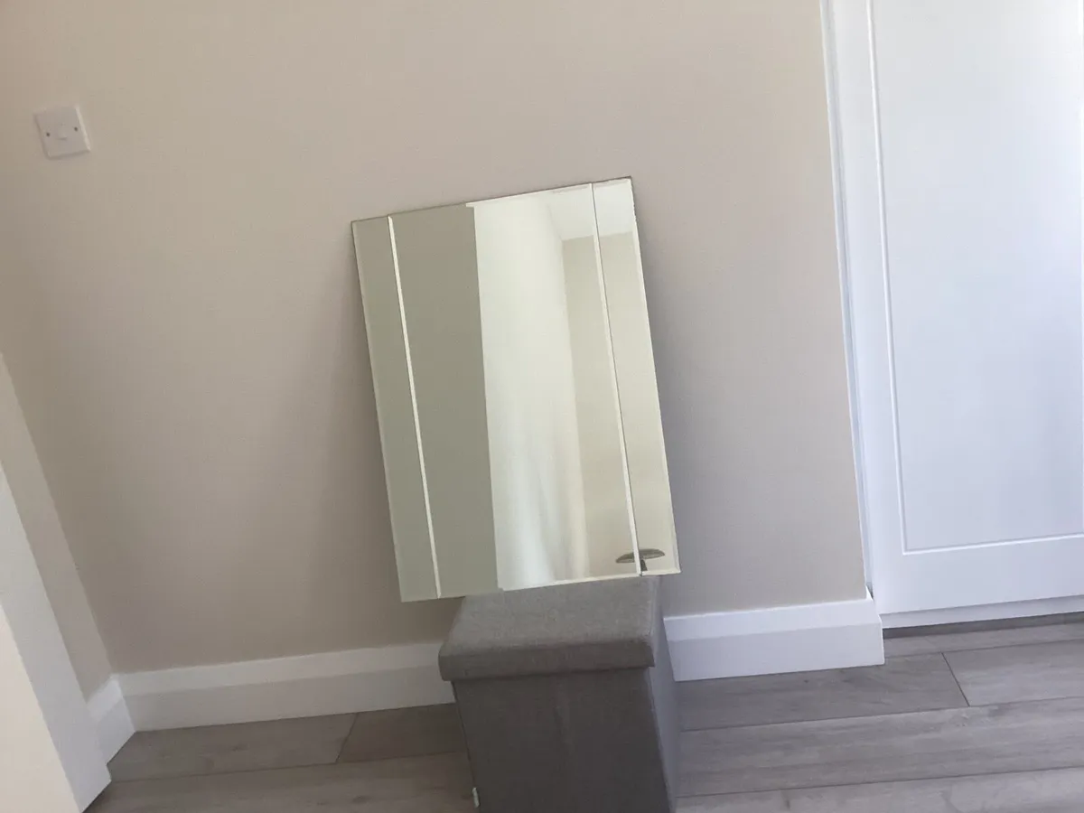 Bathroom mirrors - Image 1