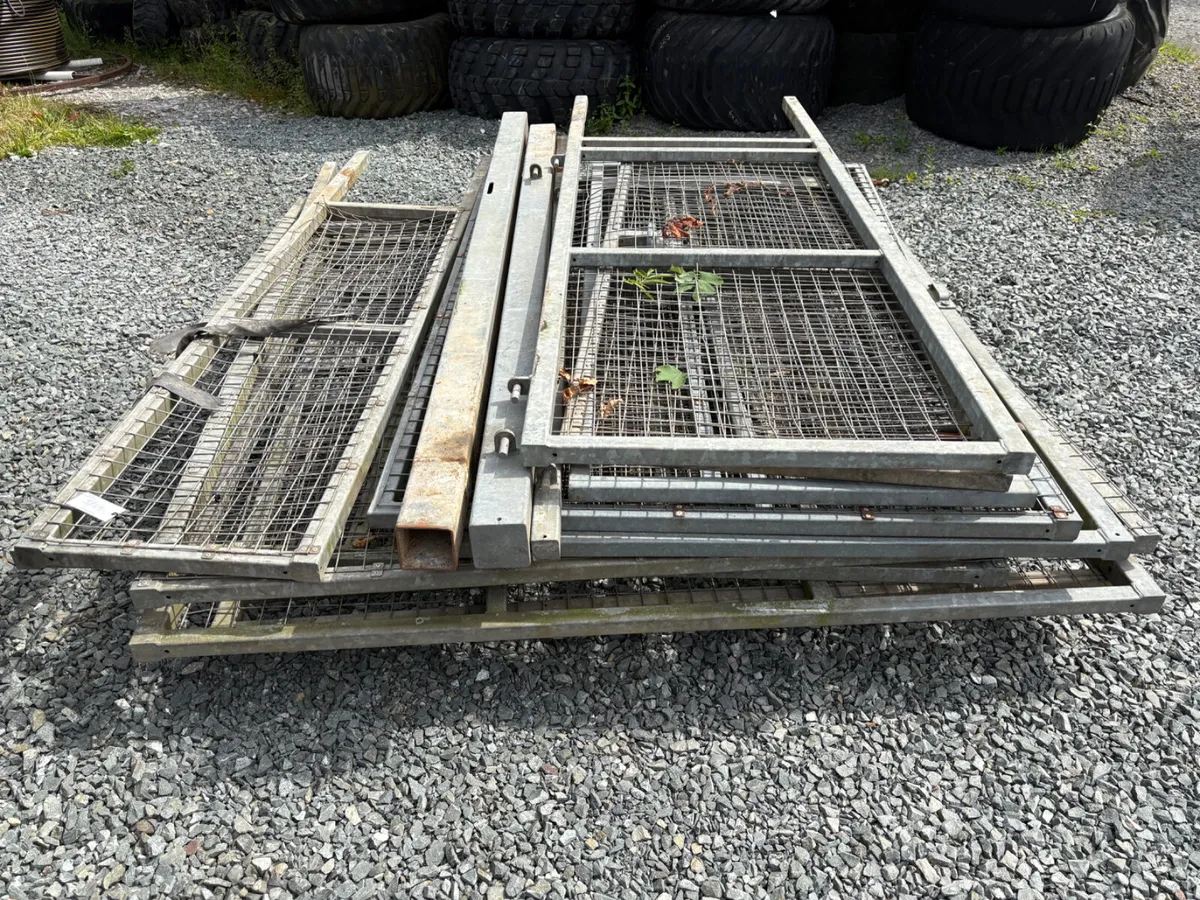 Dog compound - Image 1
