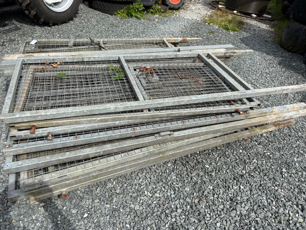 Dog compound - Image 2