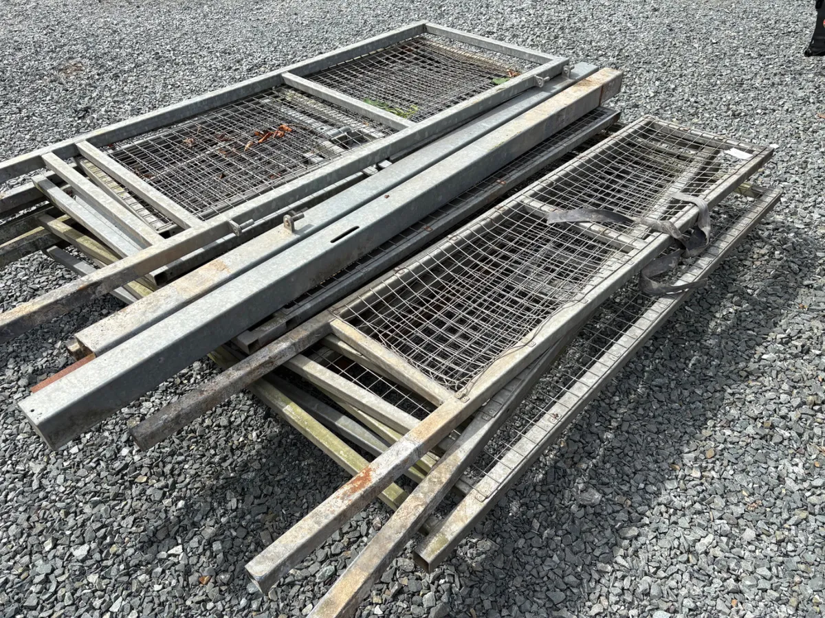 Dog compound - Image 3