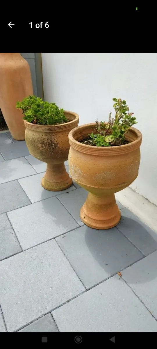 Terracotta urn planters - Image 1