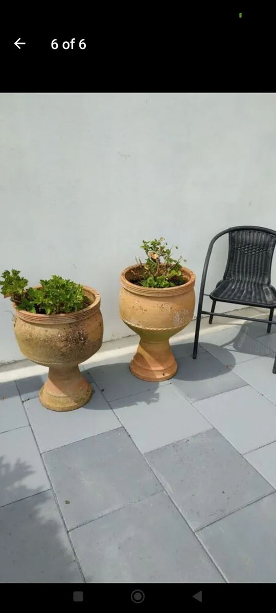 Terracotta urn planters - Image 2