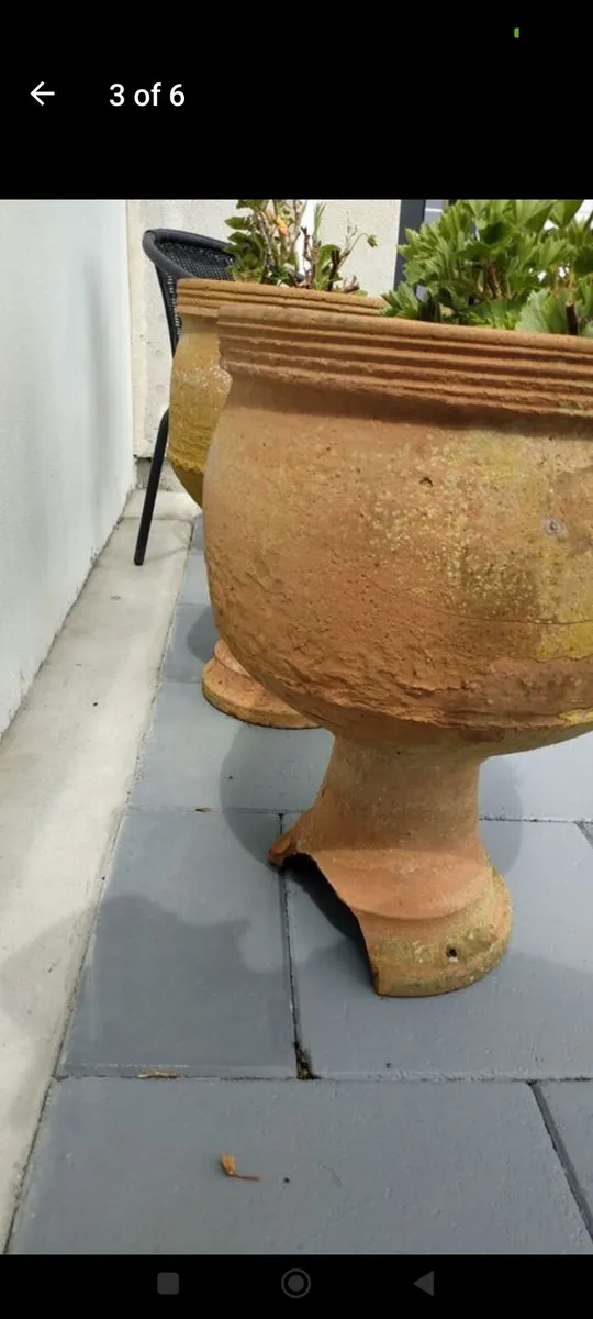 Terracotta urn planters - Image 3