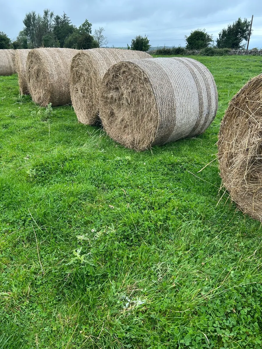 Bales for Bedding - Image 1