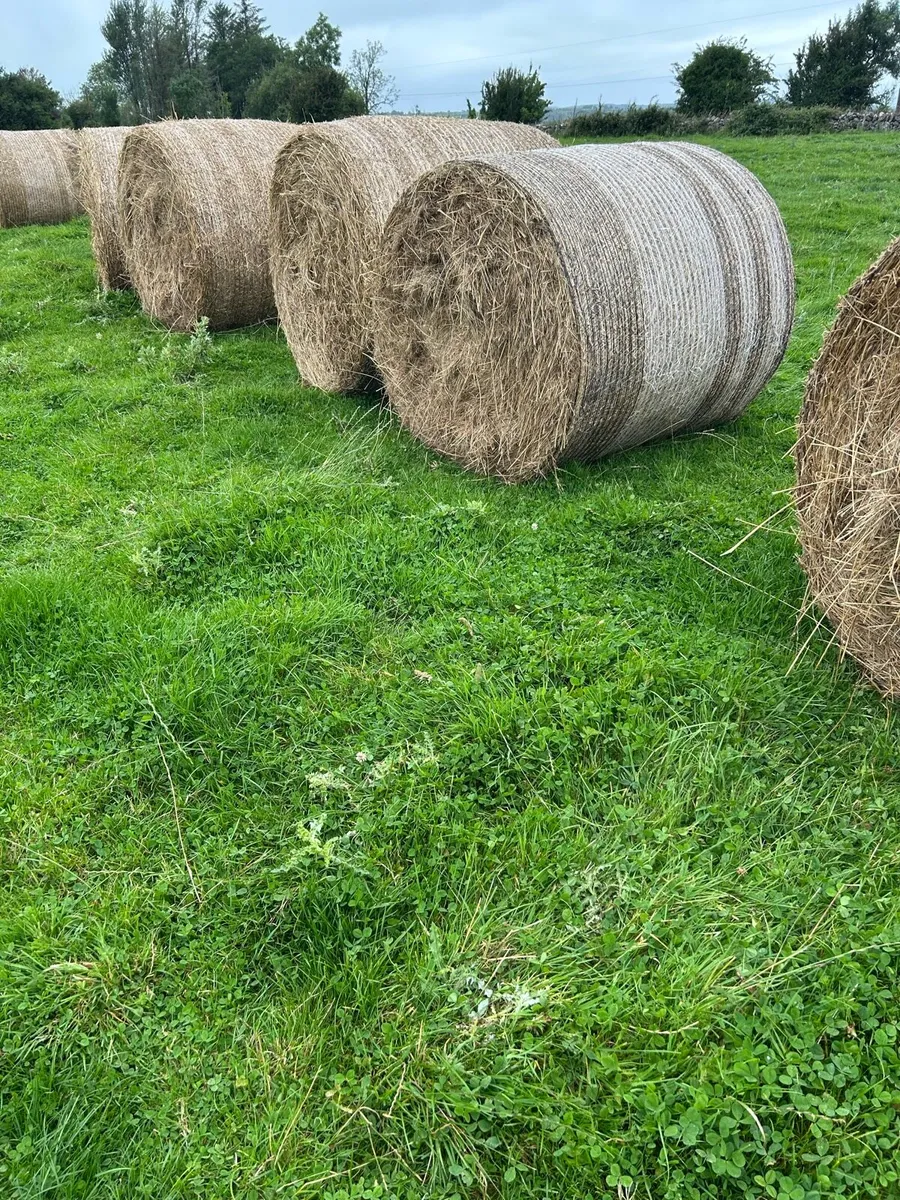Bales for Bedding - Image 2