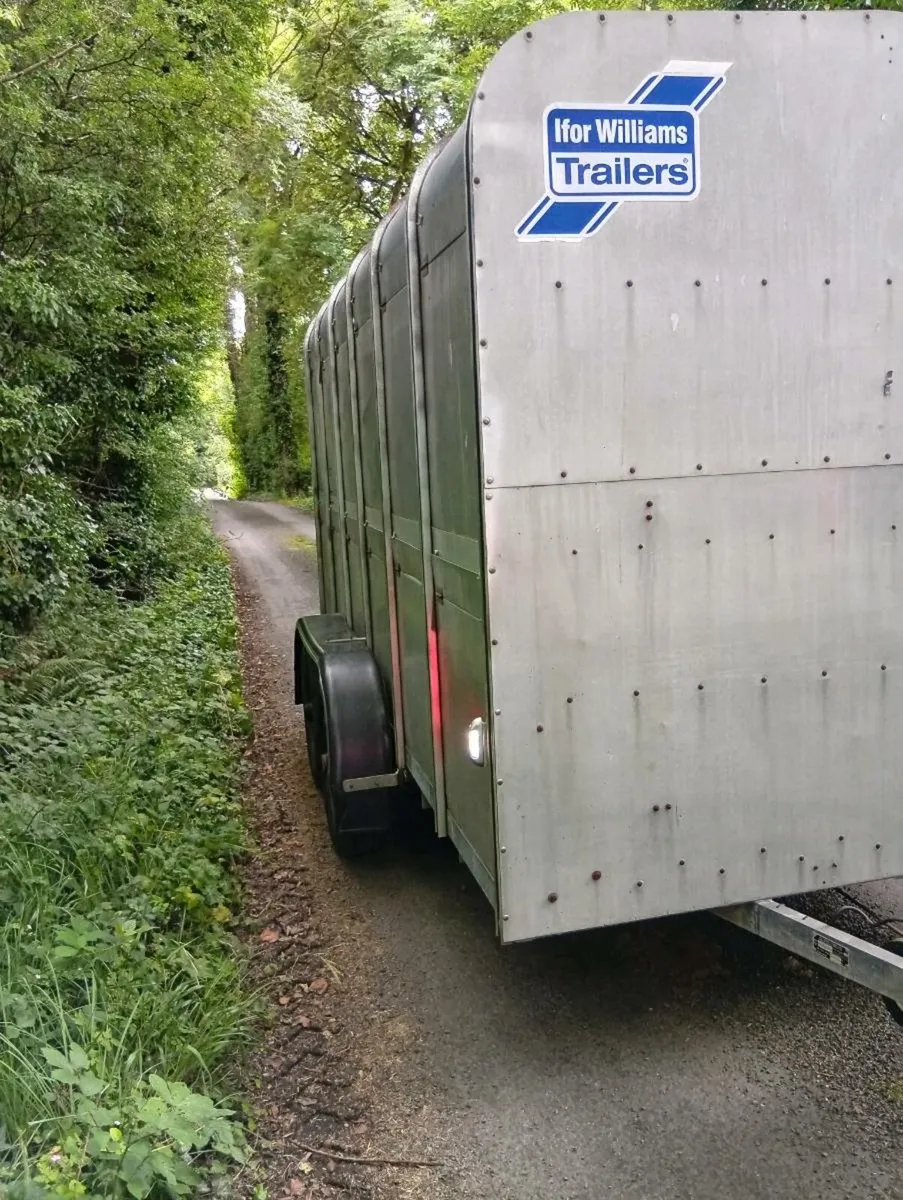 Iforwillams cattle box - Image 1