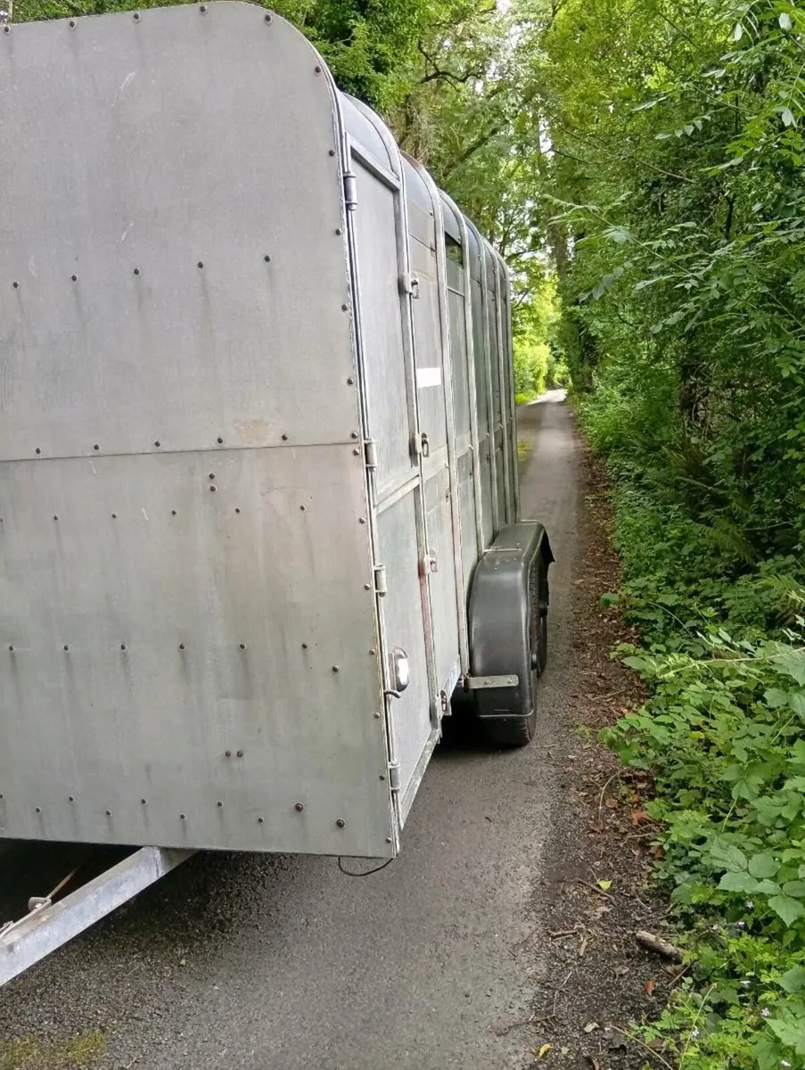 Iforwillams cattle box - Image 2