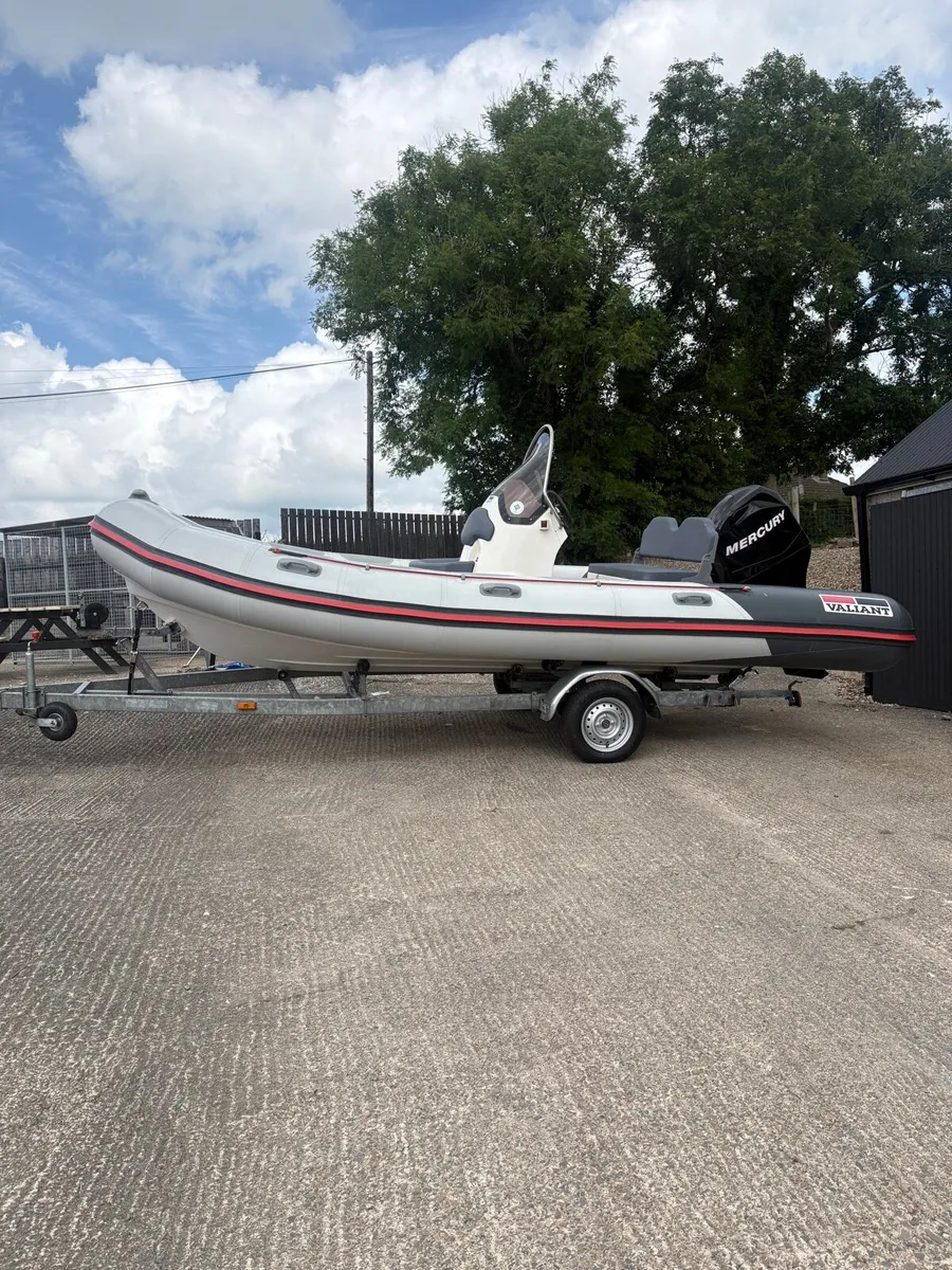 Rib - Image 1