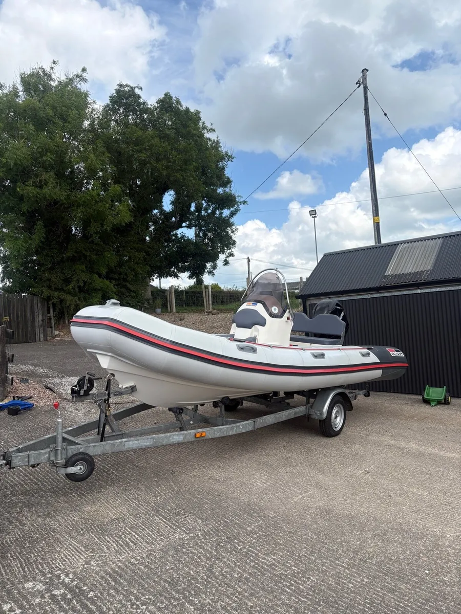 Rib - Image 2