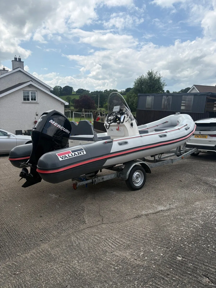 Rib - Image 3