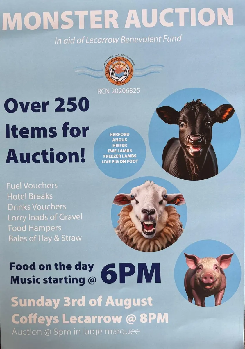 Lecarrow charity Auction August 3rd - Image 1