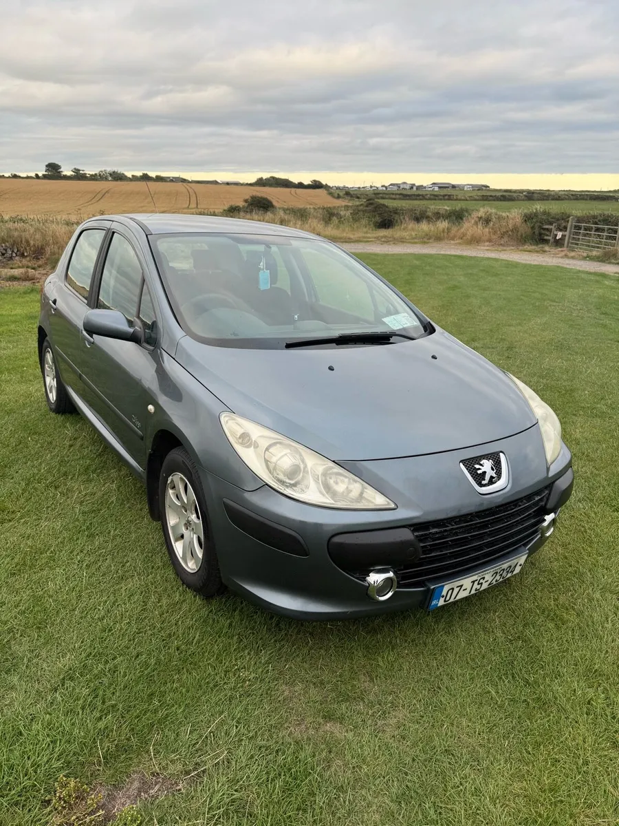 2007 Peugoet 307 1.4 petrol - Image 1