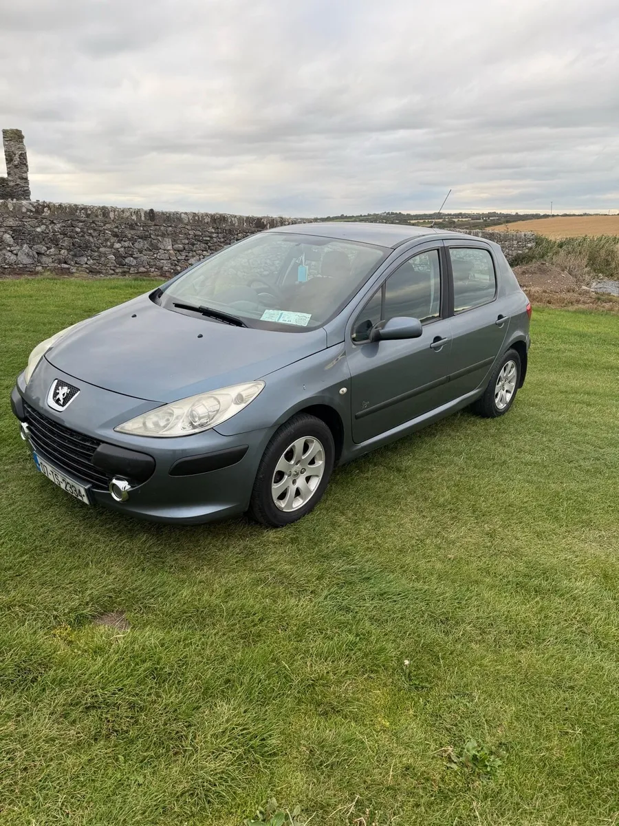 2007 Peugoet 307 1.4 petrol - Image 2