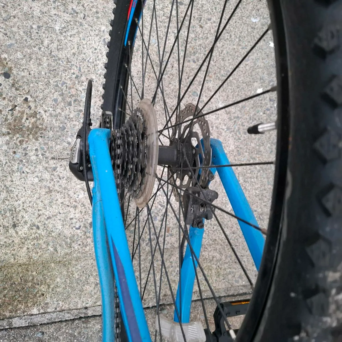 Orbea 21 speed bike - Image 4