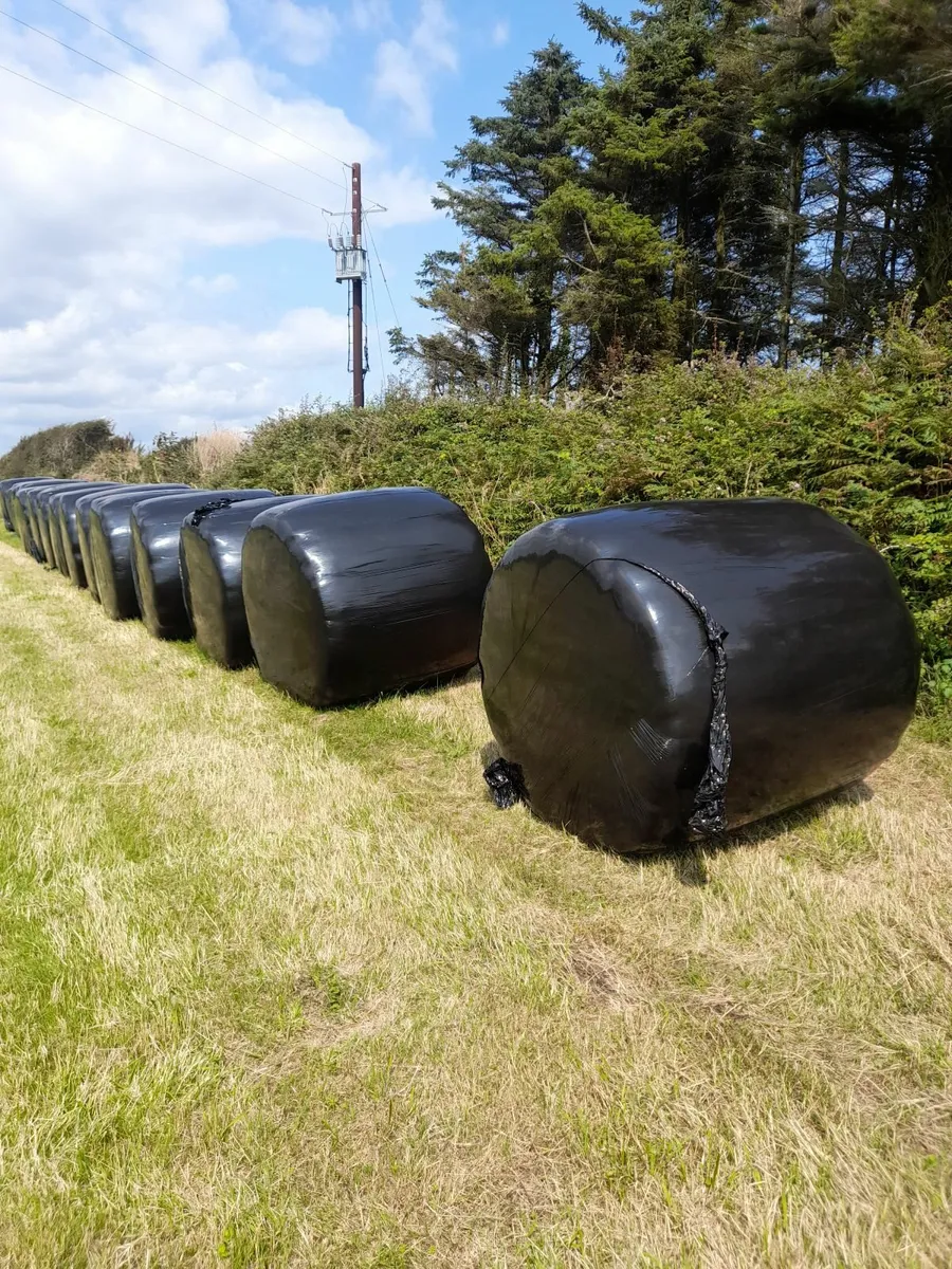 Haylage