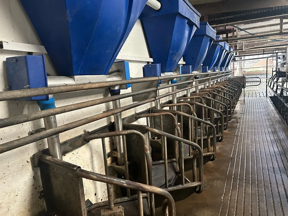 Parlour Mangers - Image 1
