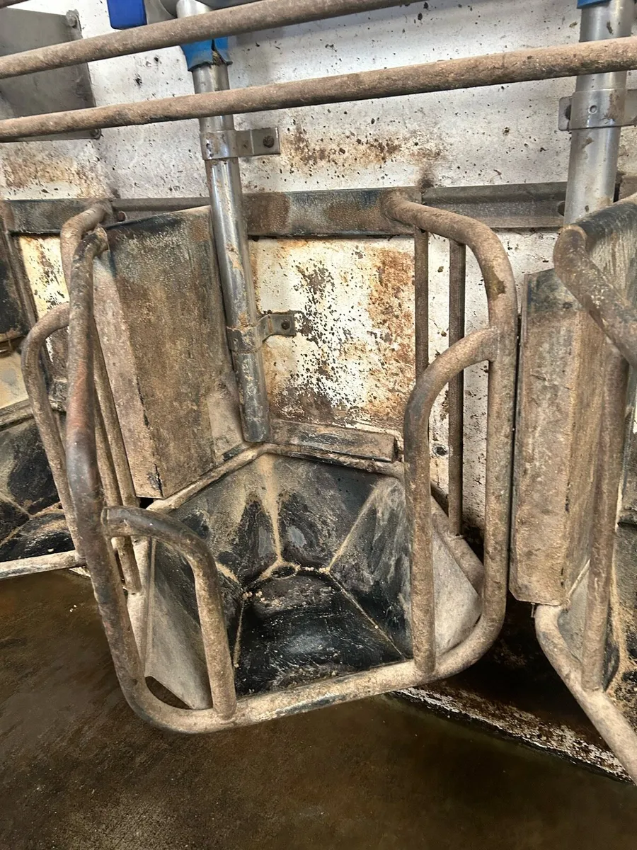 Parlour Mangers - Image 4