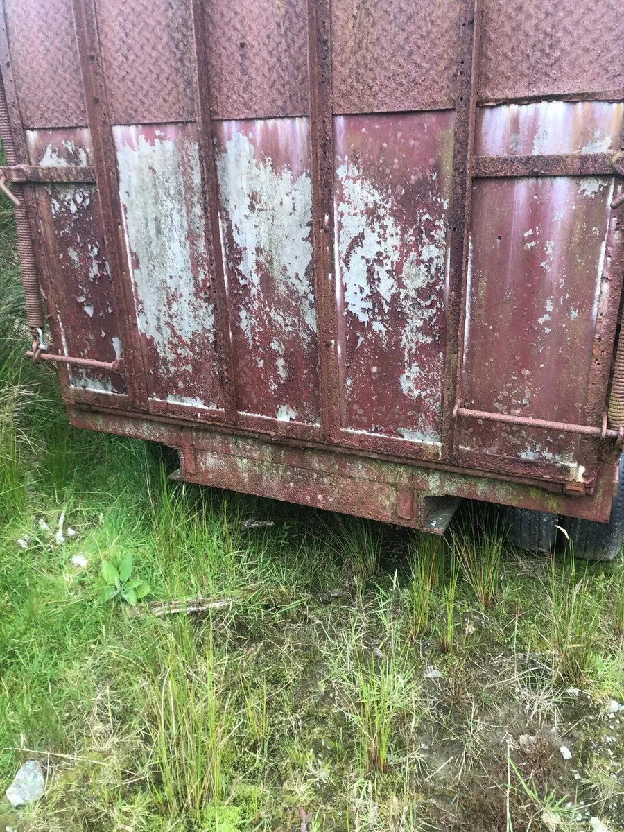 Cattle trailer - Image 3