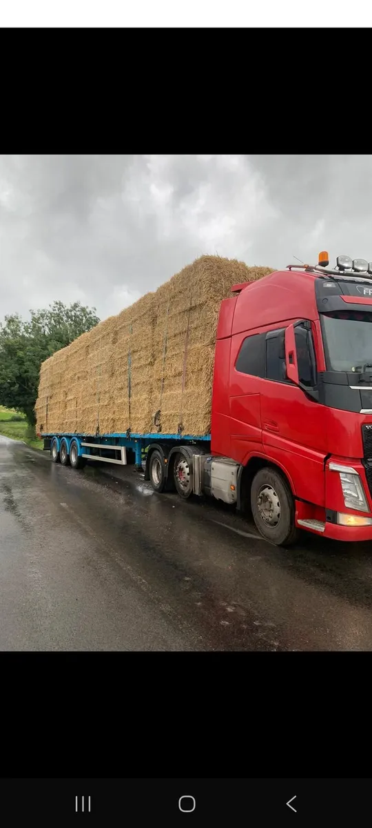 Barley straw 8x4x3 & 8x4x4 delivered - Image 1