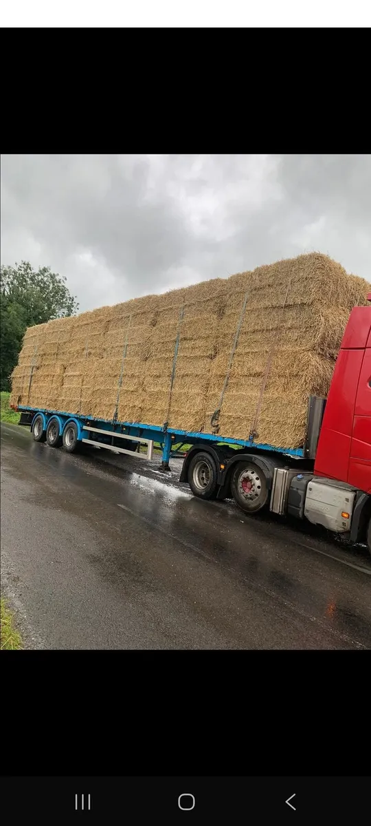 Barley straw 8x4x3 & 8x4x4 delivered - Image 2