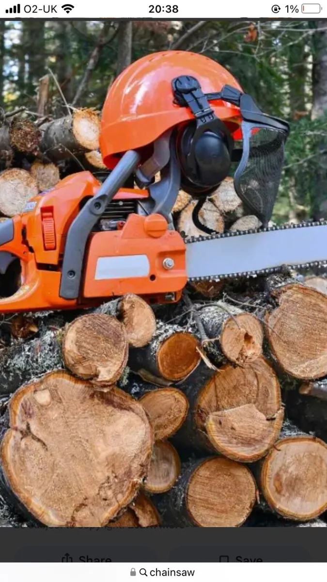 Tree felling cutting all areas