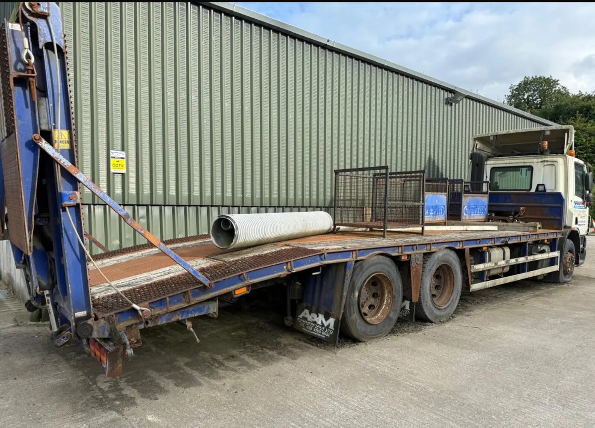 DAF Beavertail plant truck - Image 3