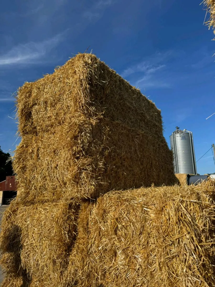 Barley oaten wheaten straw - Image 1