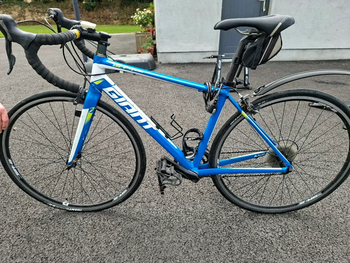 Lady's Giant Bicycle - Image 1