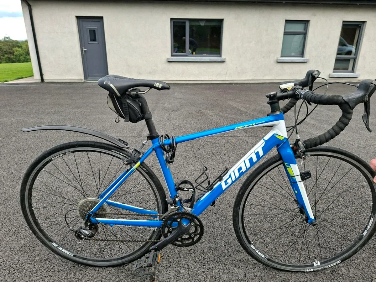 Lady's Giant Bicycle - Image 2