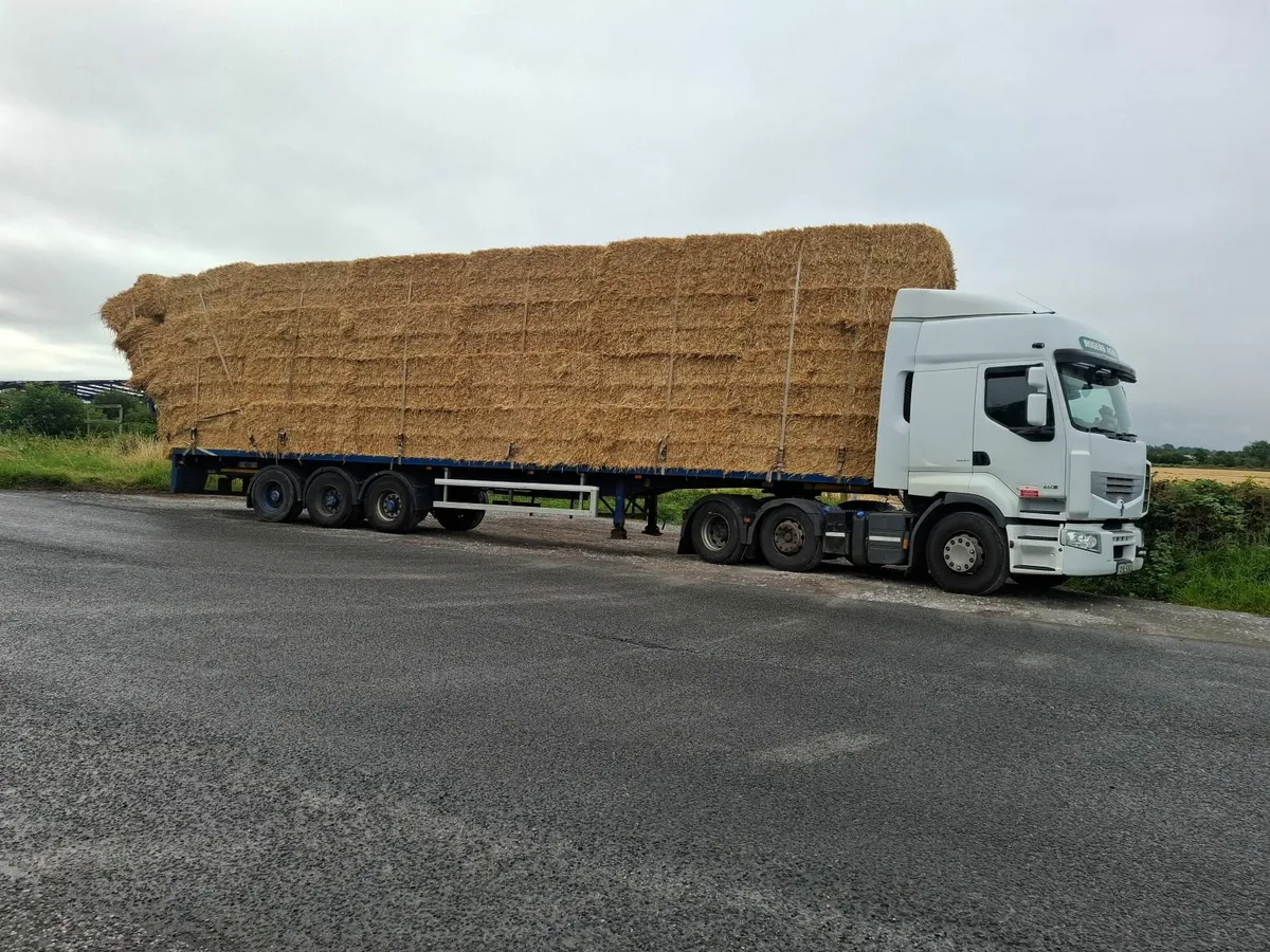 8x4x3s  of barley  straw  high  density bales - Image 1