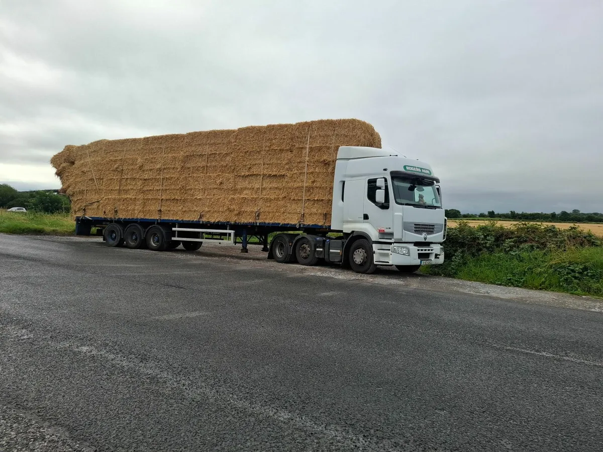 8x4x3s  of barley  straw  high  density bales - Image 2